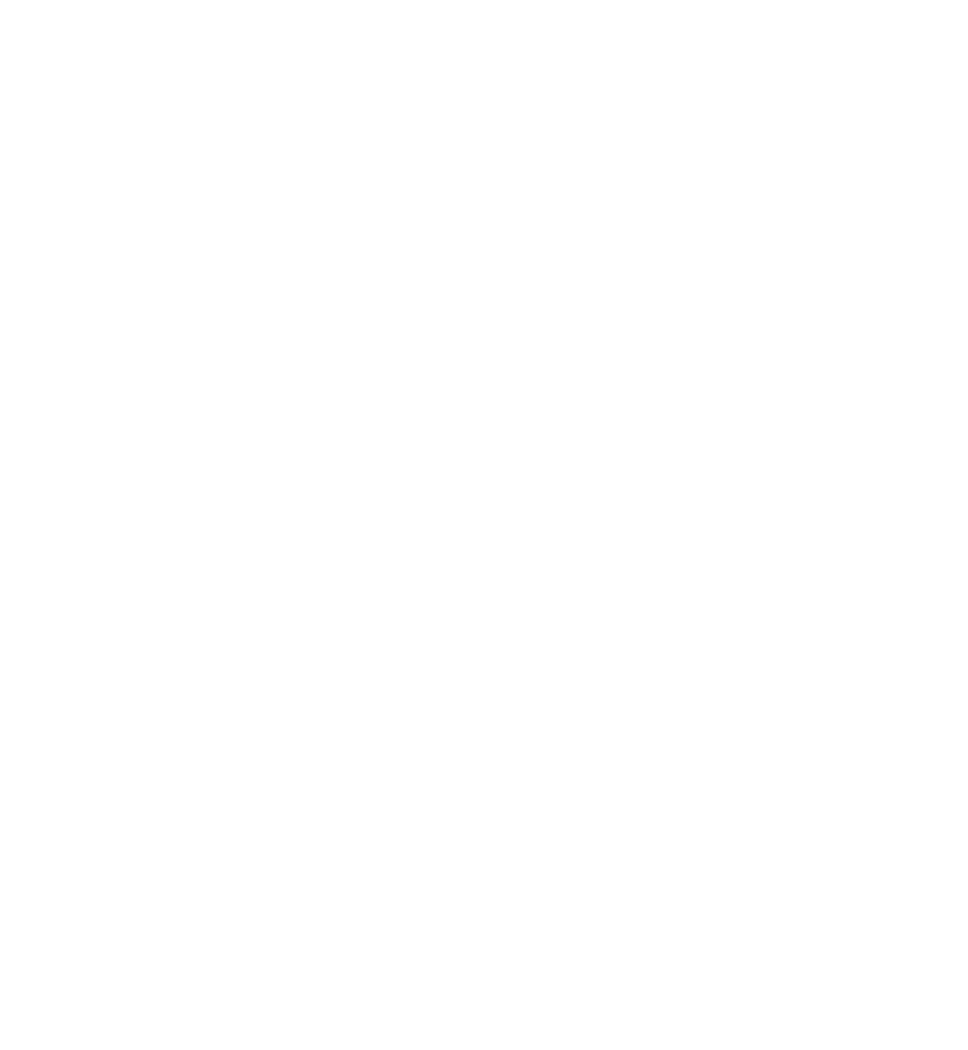 The Aura Den